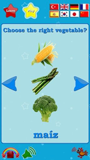 Vegetables Flash Cards截图1