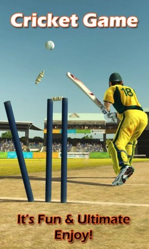 Cricket Game截图2