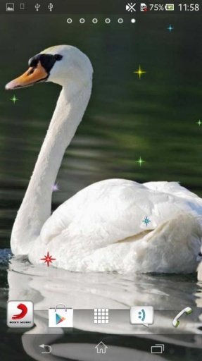 Swan Live Wallpaper截图7