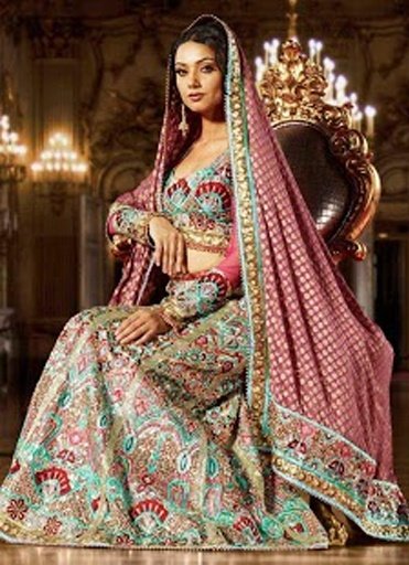 Indian Bridal Dresses截图9