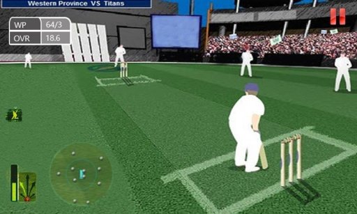 Play Cricket Online截图4