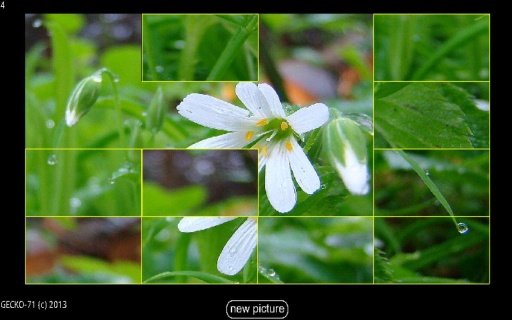 Picture Puzzle HD截图3