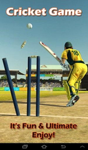 Cricket Game截图10