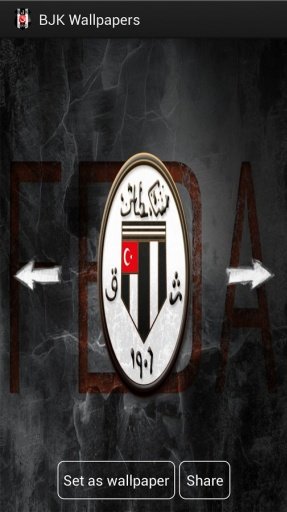 Beşiktaş Wallpapers HD截图9