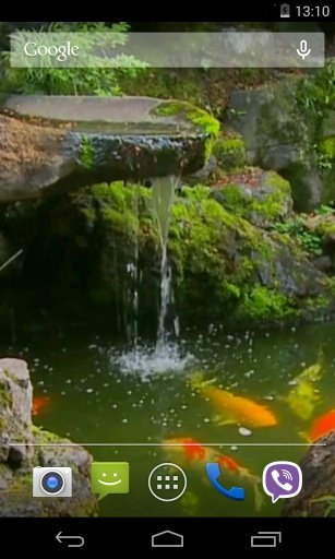 Pond with Koi Live Wallpaper截图3