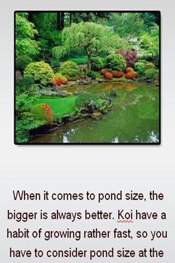 Koi pond截图2