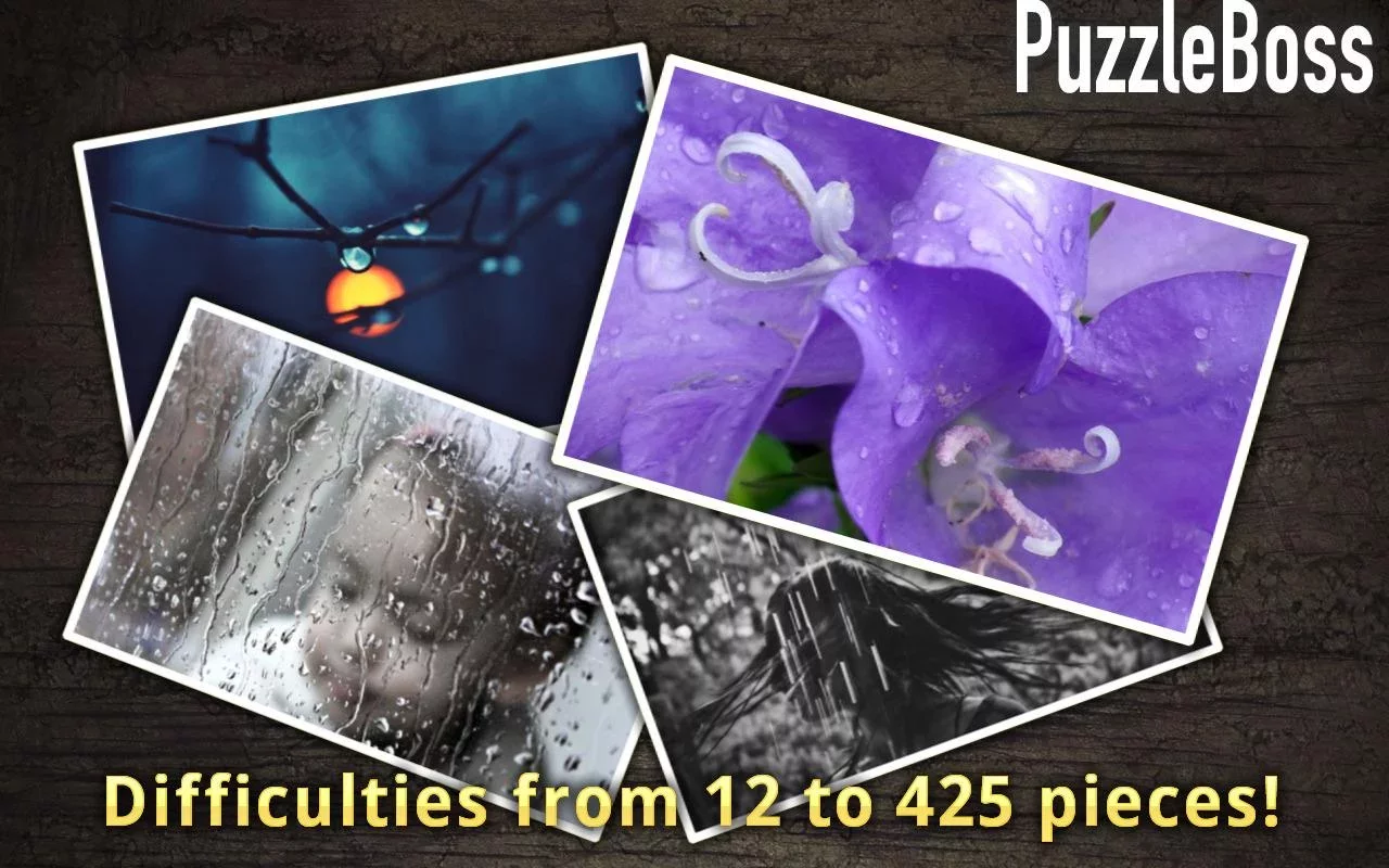 Raindrop Jigsaw Puzzles FREE截图2