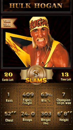 WWE Trump Cards - Multiplayer截图4