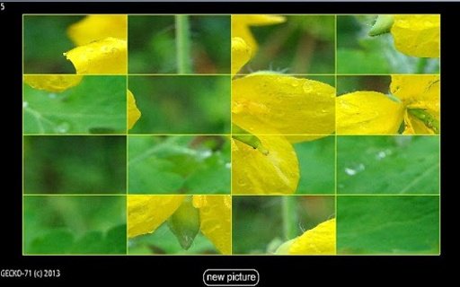 Picture Puzzle HD截图1