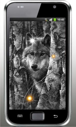 Wolf Free HQ live wallpaper截图2