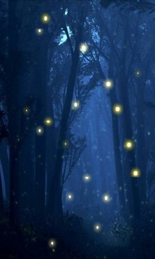 Magic Forest Live Wallpaper截图2