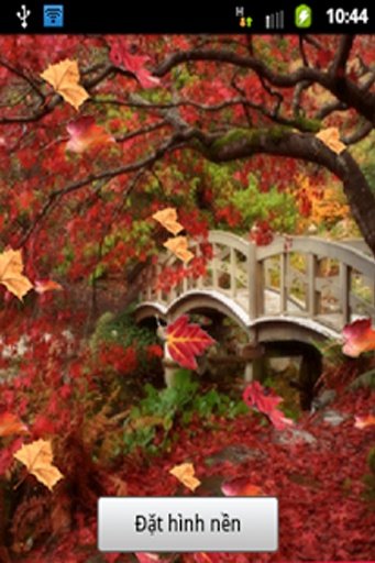 Autumn Leaf Live Wallpaper截图4