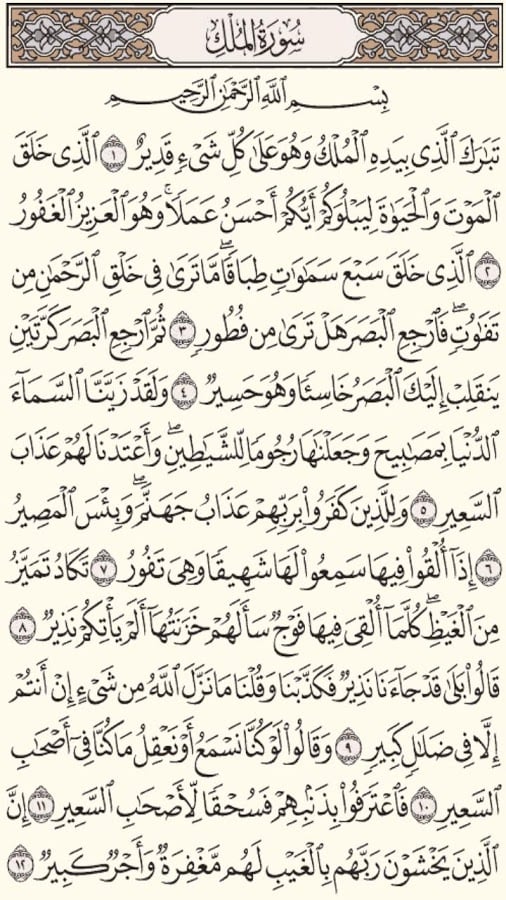 Holy Quran - Moshaf Al Madinah截图5