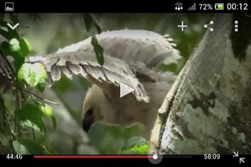 Animal TV-HD Documentary截图7