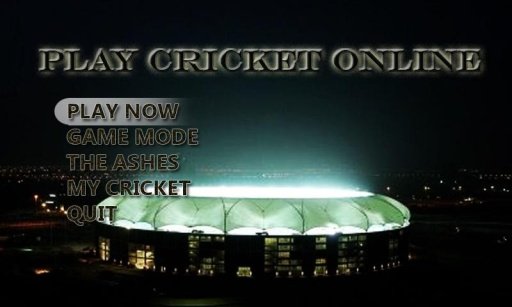 Play Cricket Online截图2