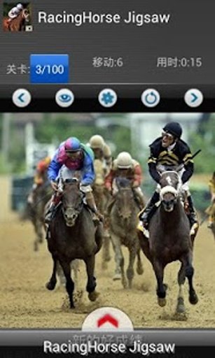 RacingHorse Jigsaw截图2