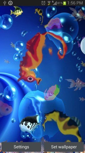 Koi Fish Live Wallpaper截图11