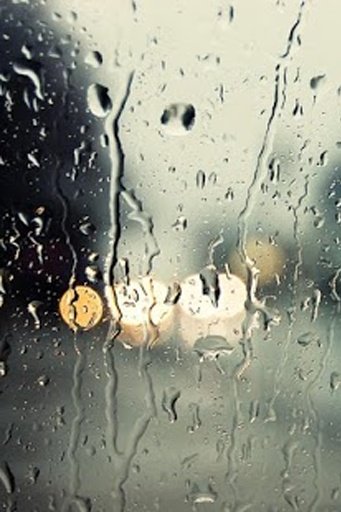 Raindrop Live Wallpaper截图2