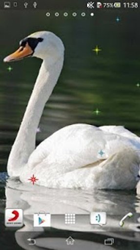 Swan Live Wallpaper截图9