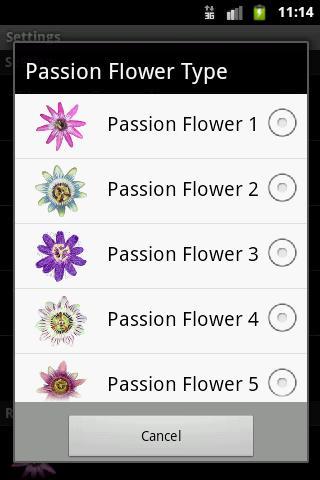 Passion Flower Live Wallpaper截图1