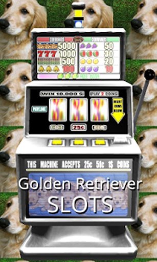 3D Golden Retriever Slots截图2