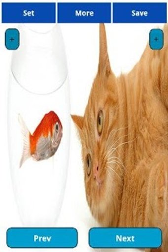 Cat and Fish Wallpapers截图1