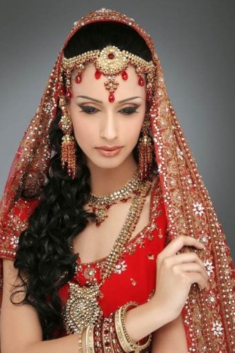 Indian Bridal Dresses截图4