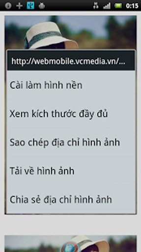 Vina Browser @Tr&igrave;nh Duyệt Việt截图8