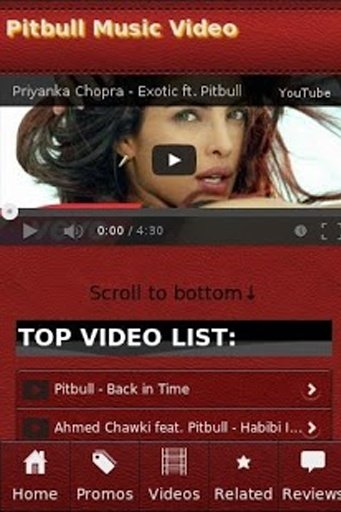 Pitbull Music Video截图5