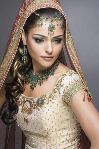 Indian Bridal Dresses截图5