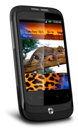 Red Leopard HD Live Wallpaper截图3