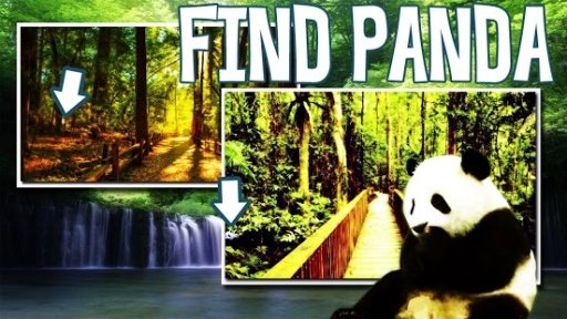 Find Panda截图2