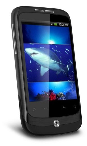 Hungry Shark HD Live Wallpaper截图3