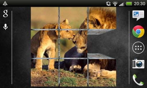 Lions Live Wallpaper 3D HD截图6