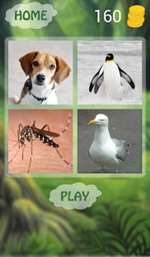 Guess Animal Sounds截图7