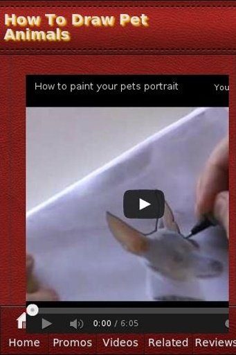 How To Draw Pet Animals截图1