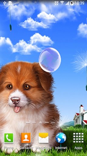 Puppy Wallpaper截图3