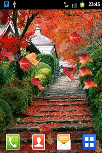 Autumn Leaf Live Wallpaper截图6