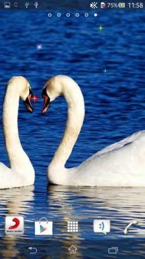 Swan Live Wallpaper截图8