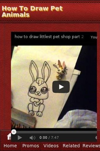 How To Draw Pet Animals截图8