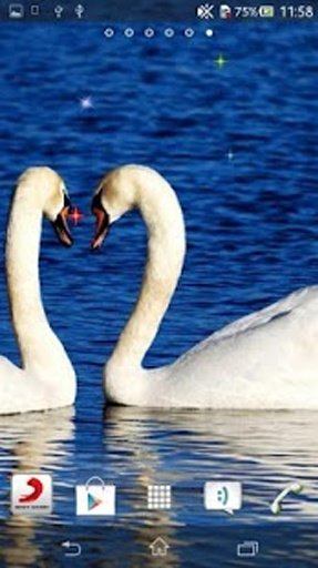 Swan Live Wallpaper截图5