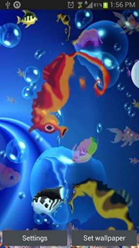 Koi Fish Live Wallpaper截图5