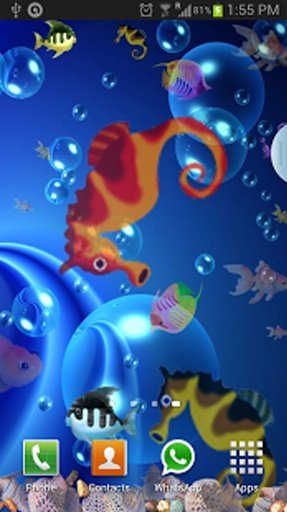 Koi Fish Live Wallpaper截图3