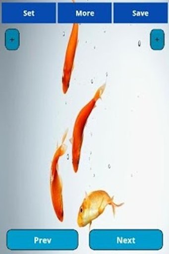 Cat and Fish Wallpapers截图3