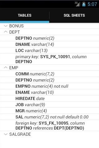 SQL移动开发者截图5