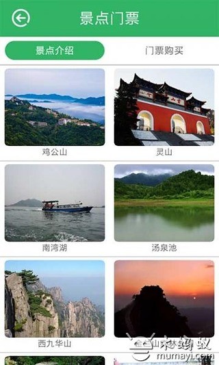 魅力信阳截图2