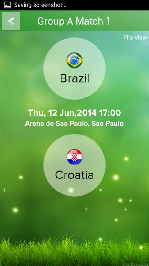 Football WorldCup Twenty14 Brazil截图4