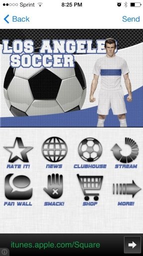 LA Soccer FC *FREE*截图5