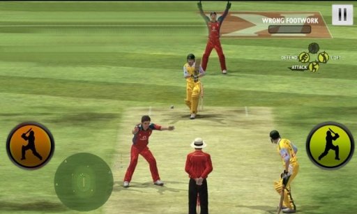 Play Cricket Worldcup 2015截图3