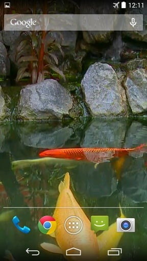 Koi Pond Live Wallpaper截图5